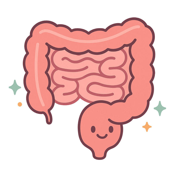 Better gut health
