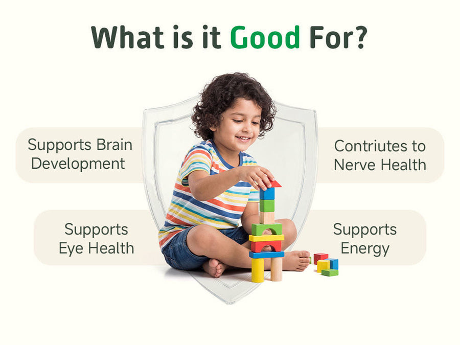 DHA Omega3 Brain Gummies (30N)